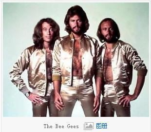 ȼ˹ֶ the bee gees